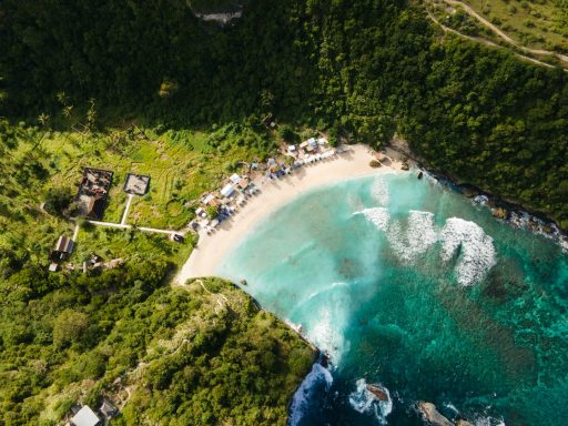 Dominica