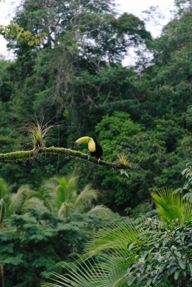 Dominican Republic